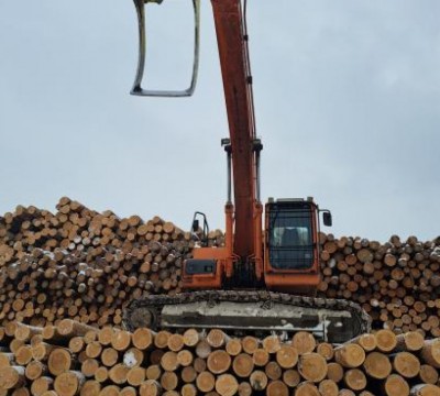 Лесоперегружатель гусеничный DOOSAN DX 300 LL